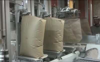 High-Performance Bagging Machine for Plastic Pellets: The Industrial Buyer’s Guide